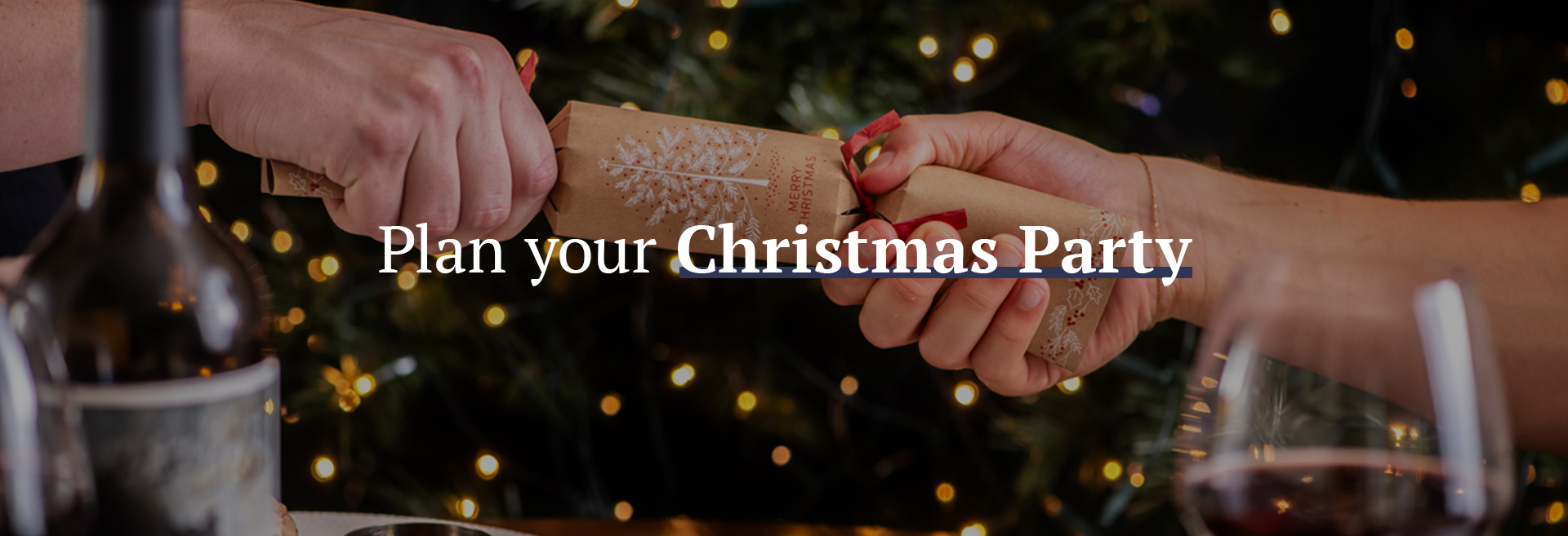 Christmas party at The Park View