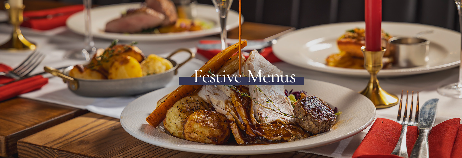 Festive Christmas Menu at The Park View 